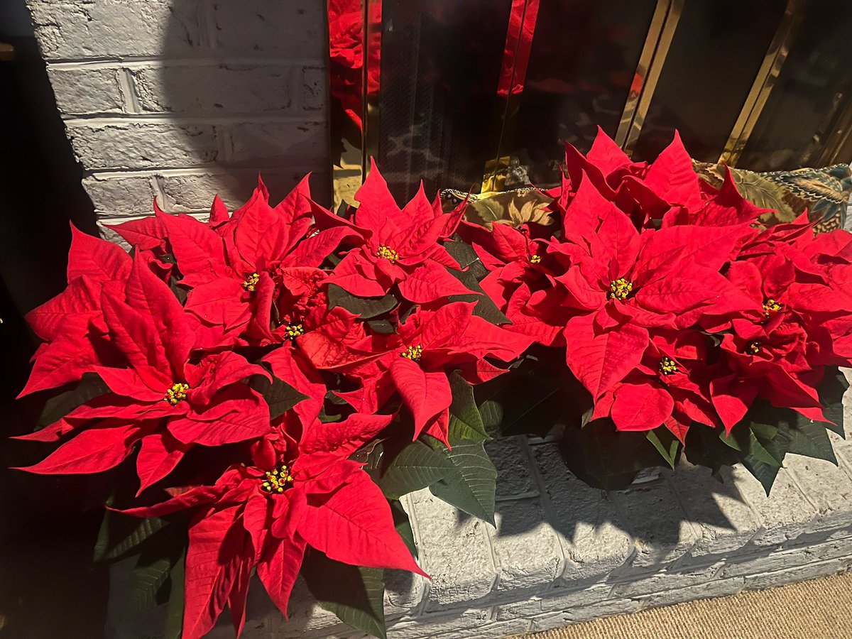 Loch Raven HS PTSA tweet media