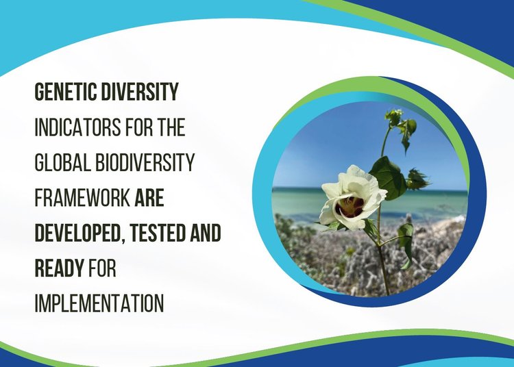 CoalitionConGen's tweet image. Did you know #GeneticDiversity indicators for the #GBF are feasible, affordable &amp;amp; ready for use? The CCG is at #COP16 to provide examples &amp;amp; guidance. Read more about the indicators here: coalitionforconservationgenetics.org/resources-data…
Or head to our website for more resources: coalitionforconservationgenetics.org/cbd-cop16