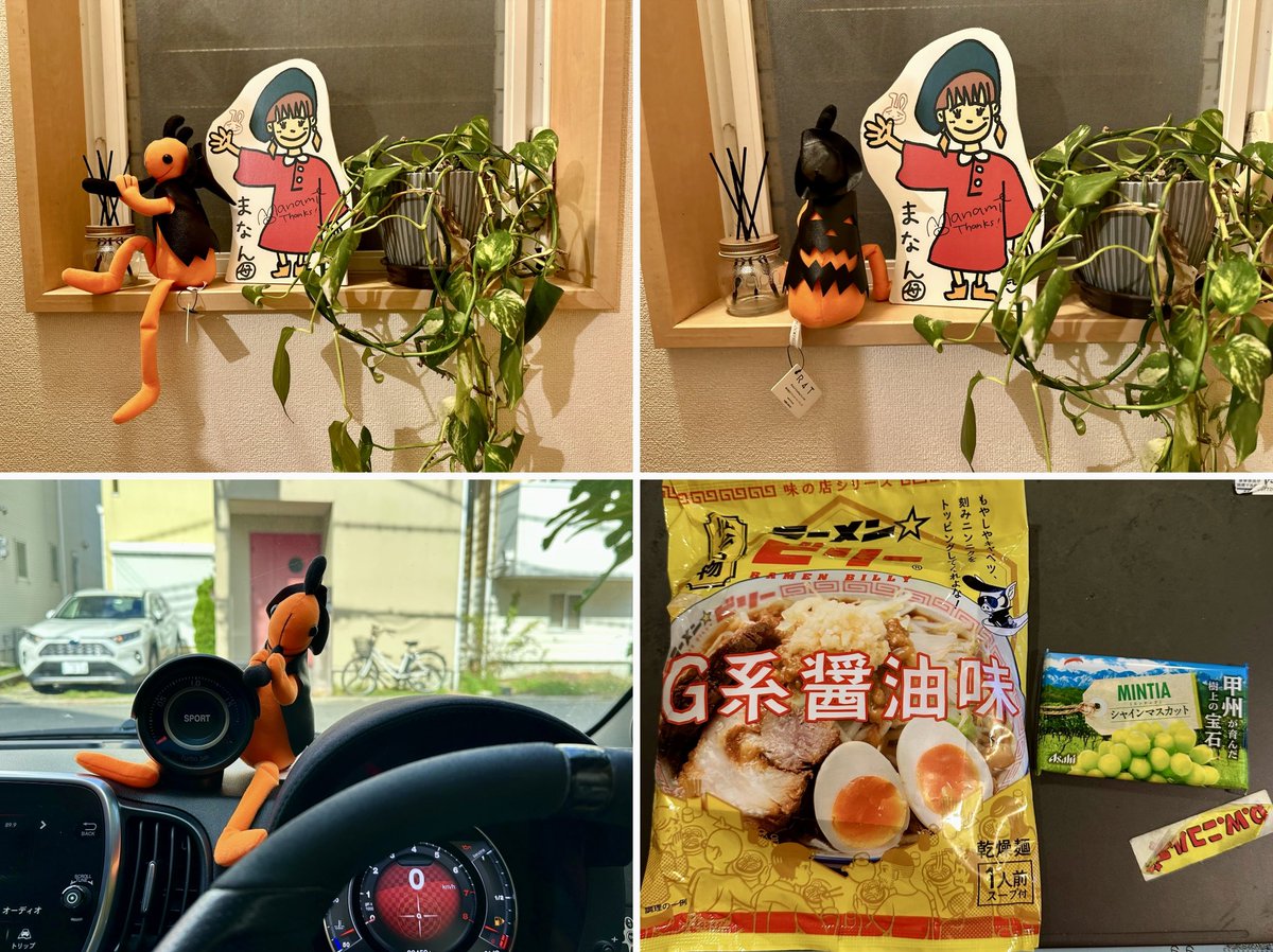 heiwakaigi's tweet photo. Part 5にして初めての「Rihwaとニコルズ」リファちゃん楽しい、面白いと聞いてたからもっと早く観てみたかったけどなにぶん大阪からなんでやっと
ほんま面白かったしココペリも連れて帰って来た、でも直ぐ嫁がせる😁
頂き物もありがとう👏
さて、来週は岡山、広島👍
#dw25 #Rihwa #R4T #ココペリ https://t.co/WU6pCF8lFH