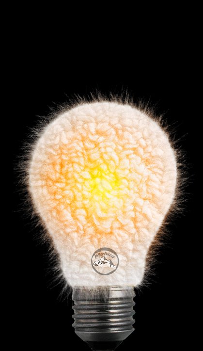 gur093's tweet photo. Glowing fur bulb https://t.co/41YbZa5S0N