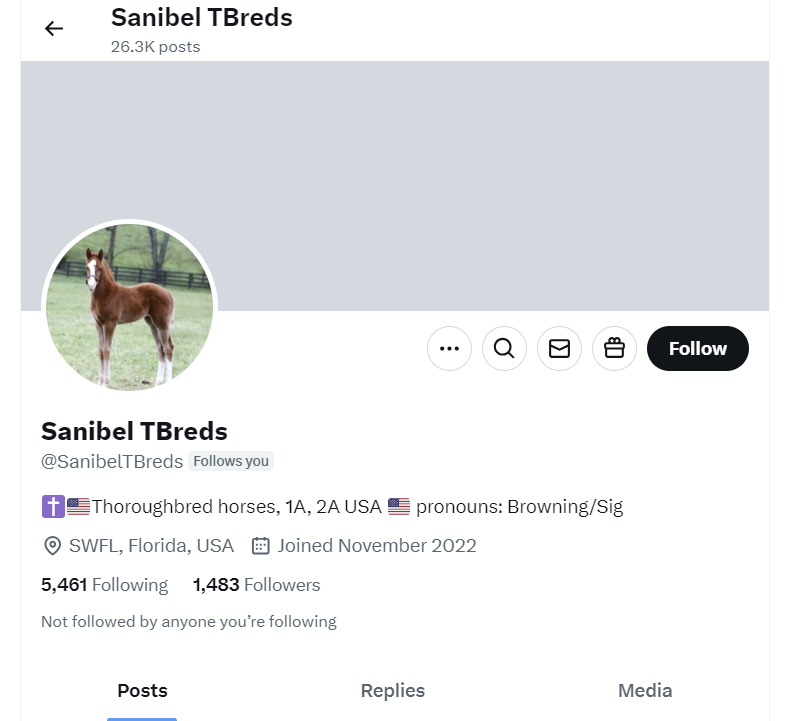 JazzmineBudge's tweet photo. As is #customary for our group every #Caturday just a bit after 7 pm, the newest member of our group is required to share a #fondmemory of the past or an #inspirationalthought. This helps with emotional support of the rest of the group. This week the newest member is Sanibel TBreds @SanibelTBreds. Thanks for joining our extremely #tightknitfamily. We can not wait to hear your fond memory and / or inspirational story. Go...