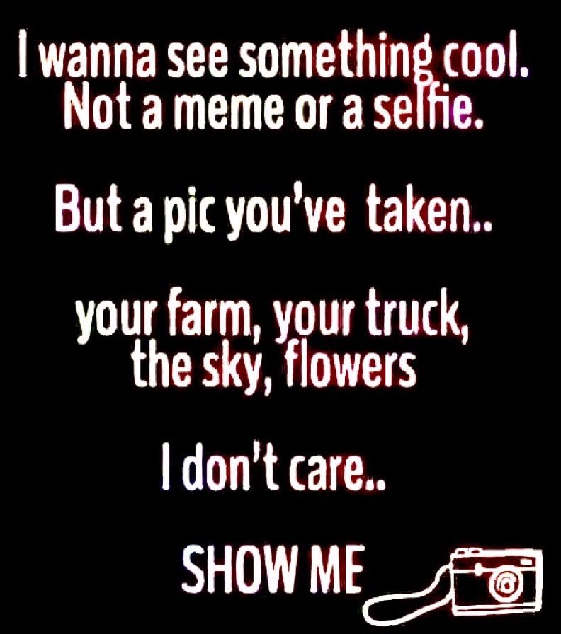 Johnny Midnight ⚡️ tweet media