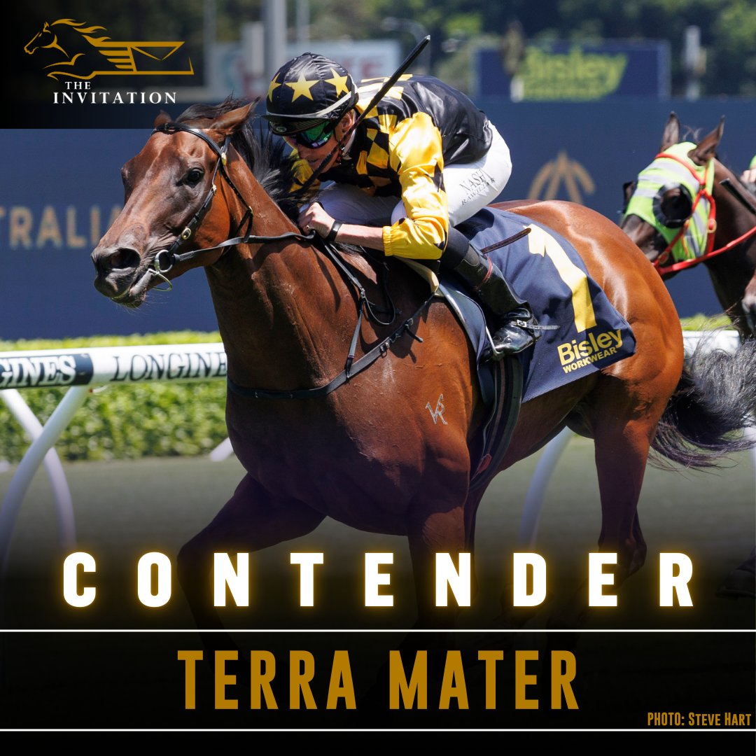 racing_nsw's tweet photo. Jarrod Austin's Terra Mater has been a mare on the rise for the past 12 months and has notched two stakes wins this spring among six wins in that time. She's a worthy contender for the $2 million The Invitation 📨on Saturday. 👏 https://t.co/2HXiQpVAJr