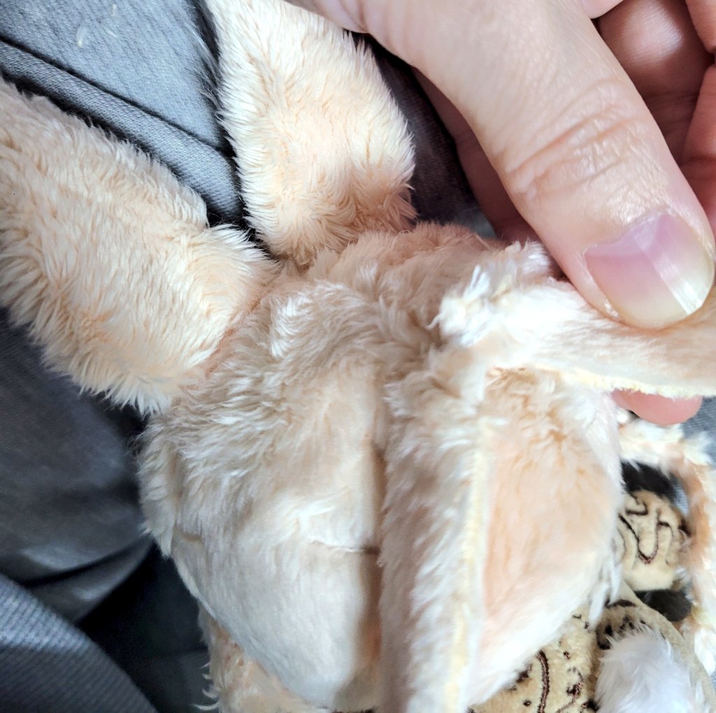 hati_dp's tweet photo. He is small but delicate and really lovely. Sometimes the factory is not perfect in the slightest. I check those parts myself, repair them, and ship them. I do my best to make sure you have a perfect doll https://t.co/piBw5lcejv