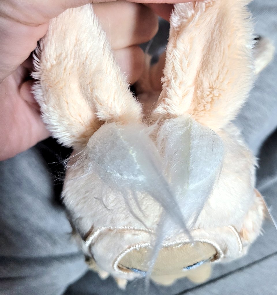 hati_dp's tweet photo. He is small but delicate and really lovely. Sometimes the factory is not perfect in the slightest. I check those parts myself, repair them, and ship them. I do my best to make sure you have a perfect doll https://t.co/piBw5lcejv