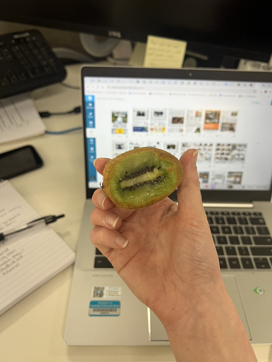 Tess Kelly tweet media