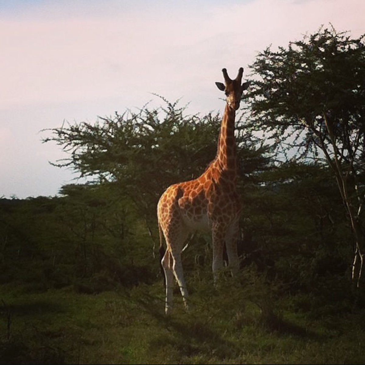 Victoria Terry tweet media