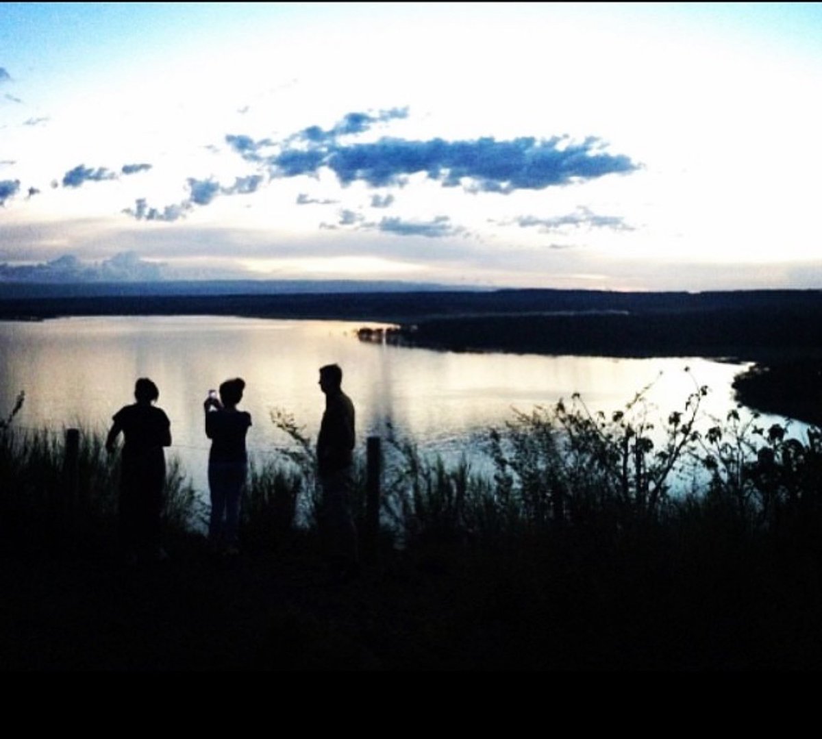 Victoria Terry tweet media