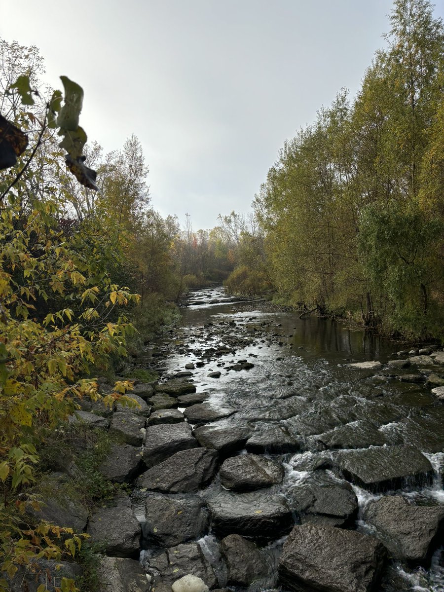 Our members today at Albion trail road race! 
#stjohnambulance #firstaid #albiontrails