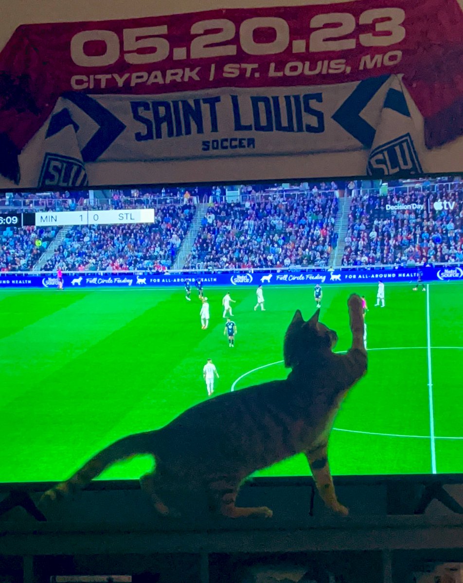 Misss_Abigail's tweet photo. Alvin just wants to be included ok
#ALforCITY #AllForCITY https://t.co/2cpEoMfVlU