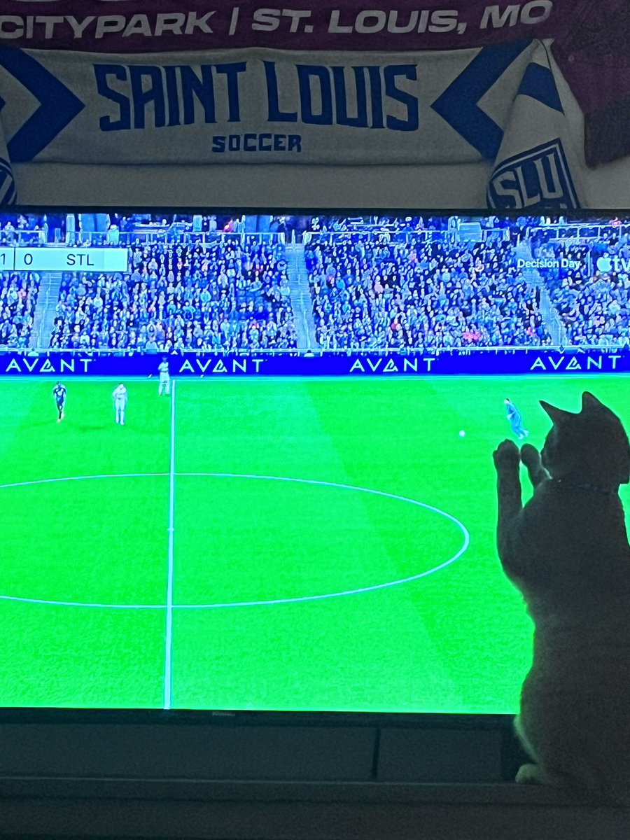 Misss_Abigail's tweet photo. Alvin just wants to be included ok
#ALforCITY #AllForCITY https://t.co/2cpEoMfVlU