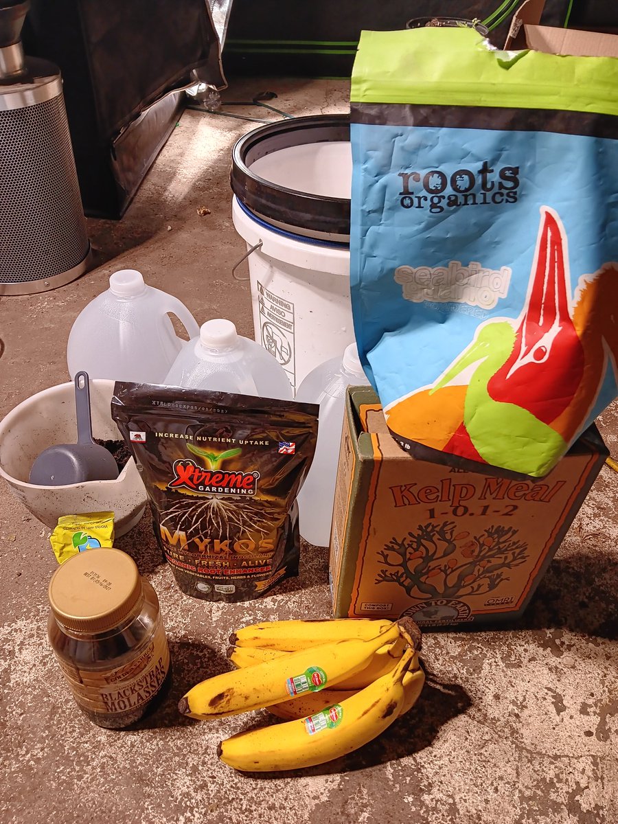headweight13's tweet photo. Late flower pk boost banana tea #cannabiscultivators #CannabisCommunity #organic #composttea https://t.co/CEixrgXO06