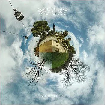 最近また僕の中でエレクトロニカがリバイバルしてきました！2014年の作品だけど、煌びやかなシンセとダンサブルなビートが素晴らしい傑作♪

◾️Wooky / Montjuic （CD）

『spa.RK』<a href="/sparkreleases/">spa.RK</a> から2014年にリリースされた、Wookyのデビューアルバム。

試聴&amp;購入➡︎lykkelig-music.shop-pro.jp/?pid=73350540