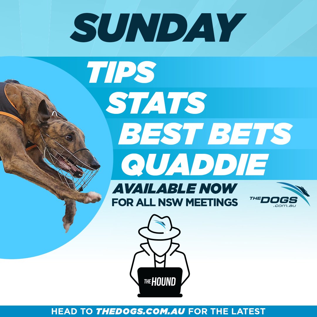 👏 Do your Sunday right - head to #TheHound for all the tips and stats for today's racing!

📺 Watch LIVE: thedogs.com.au/racing
📝 Tips &amp; Stats: thedogs.com.au/racing/the-hou…

#thedogs #greyhoundracing #bestbets #bestbet