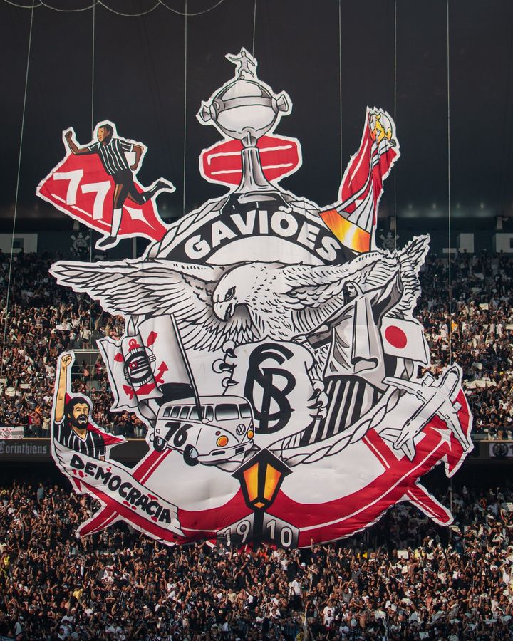 rodriguesˢᶜᶜᵖ tweet media