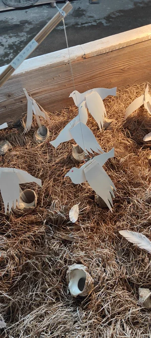 めちゃめちゃ素敵空間にお邪魔してきました漁師小屋で鳩を釣り、クロフジツボの刺繍マスコットに出会いましたのでお迎えしました #久美浜のゆめ 