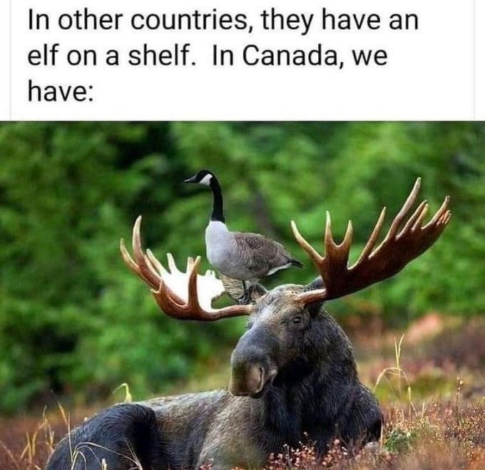 Eric Alper 🎧 (@thatericalper) on Twitter photo 