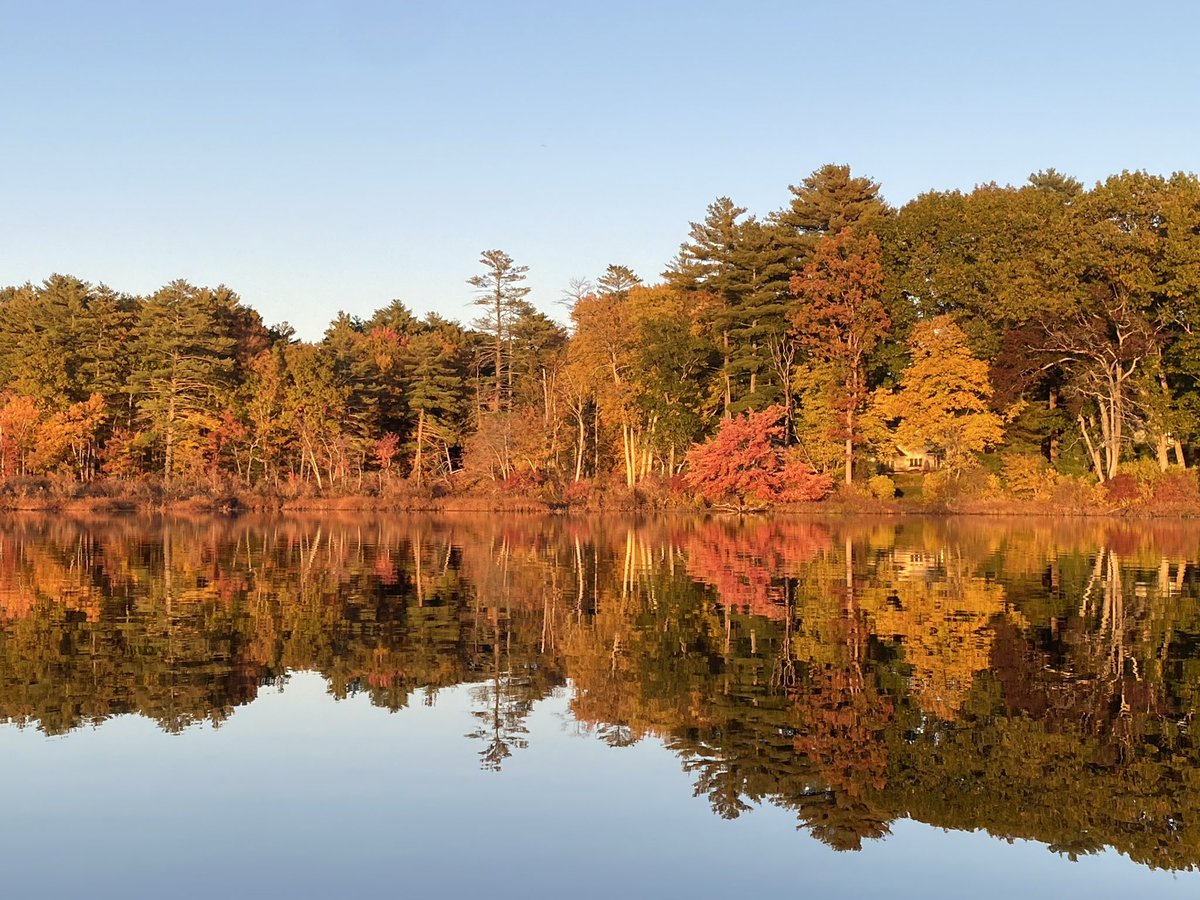 I’m in #heaven also known as #NewEngland - the water so clear, you can’t tell the reflection from the trees 🫶🏻🙌🏼🤩 #Massachusetts #leaf #leaves #fall #autumn2024 #nature #trees #nofilter