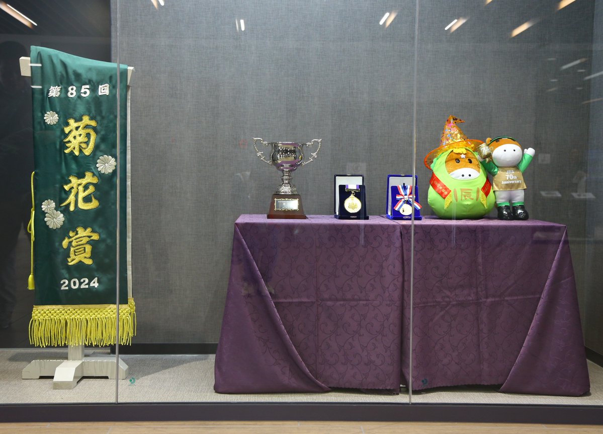 菊花賞 の優勝馬に贈られる優勝レイです！ 今年の牡馬クラシック、最後