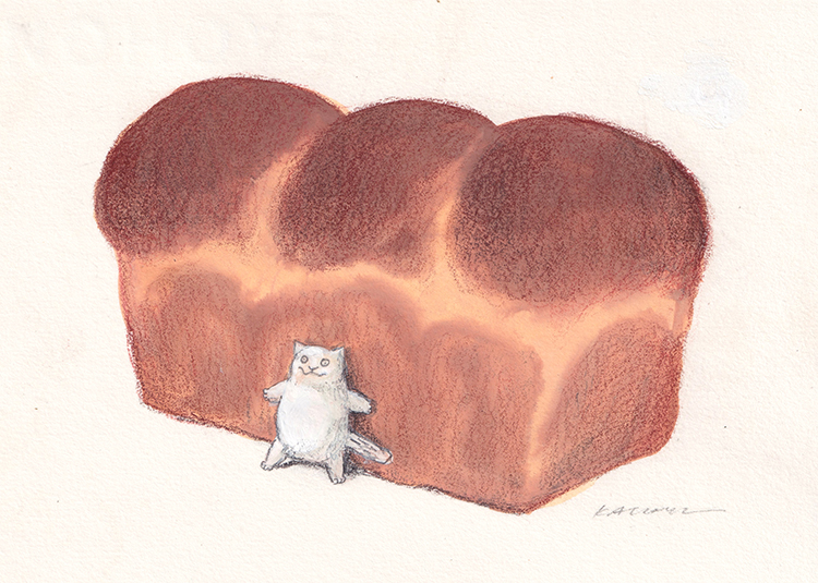 White cat and bread series