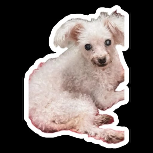 PinkPooches's tweet photo. My loves ❤️ 😍 💖 ❣️ #mypack #sundayvibes https://t.co/9YgOjWFzX9