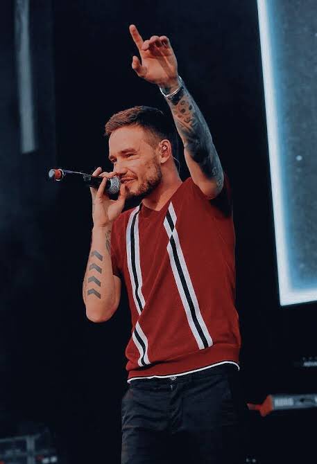 stphx19's tweet photo. El cuerpo de Liam https://t.co/RUikaTSfX7