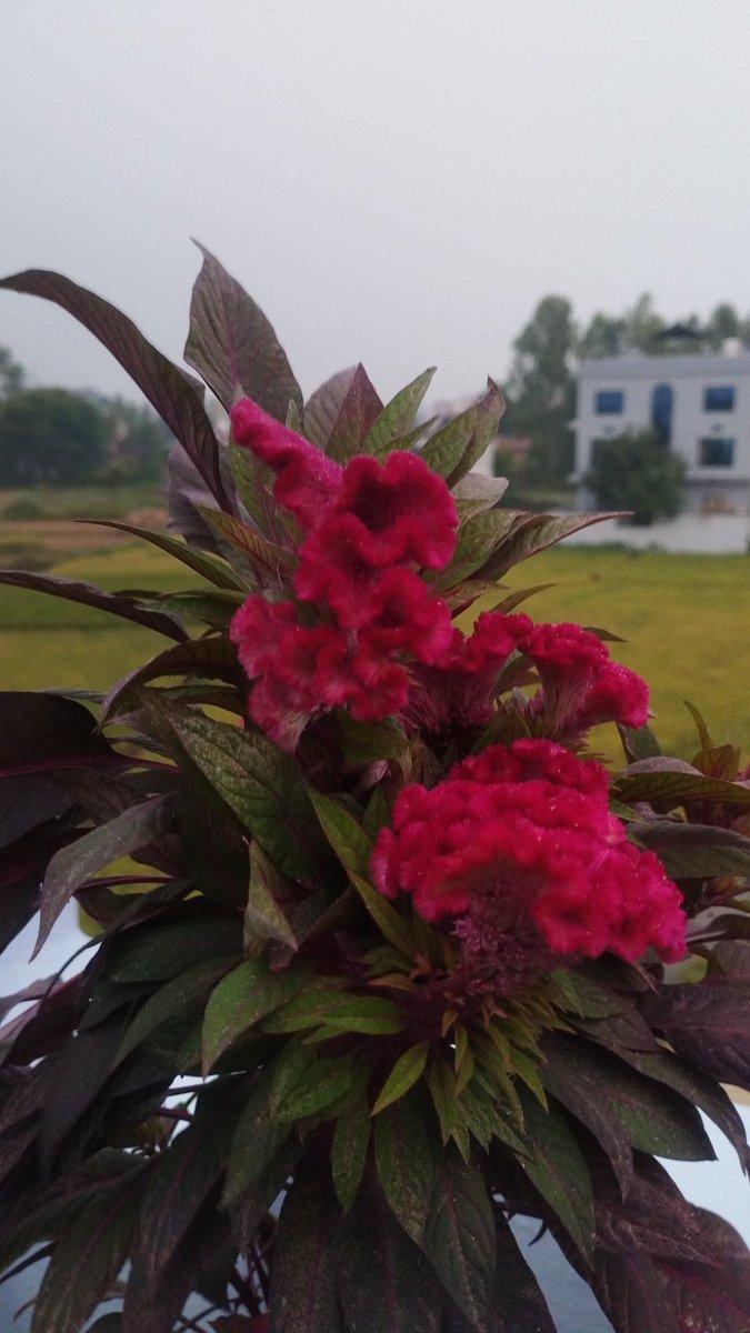 Good morning 🌄🌞