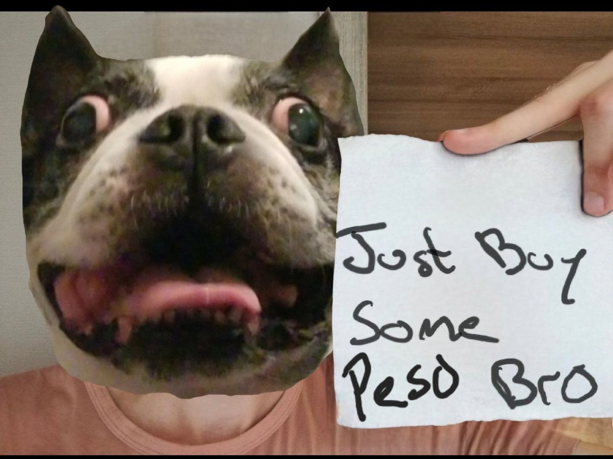 PesoCoinADA's tweet photo. @Leooweb3 Woof woof🐾 https://t.co/kPc34p3fiq