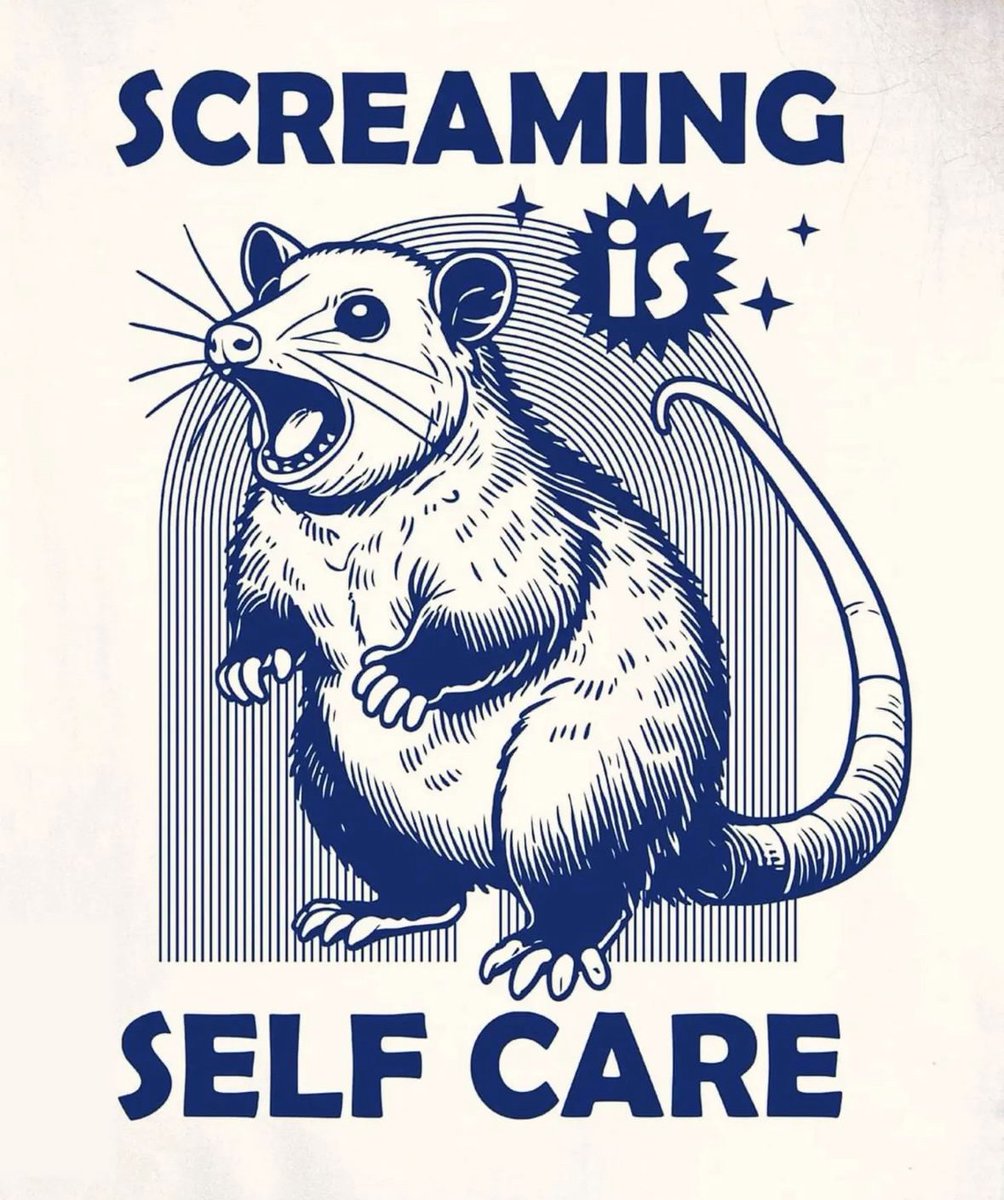 raccoon aesthetic. tweet media