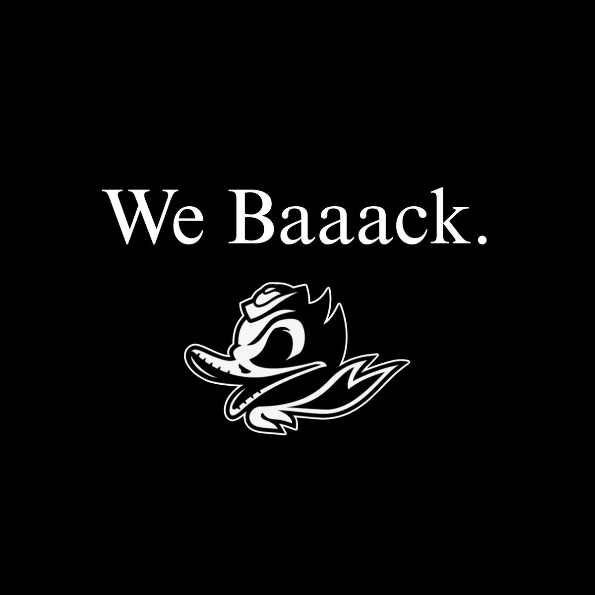 Kbez23's tweet image. #1 🦆