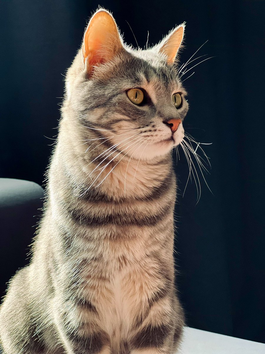 Just A Man tweet media