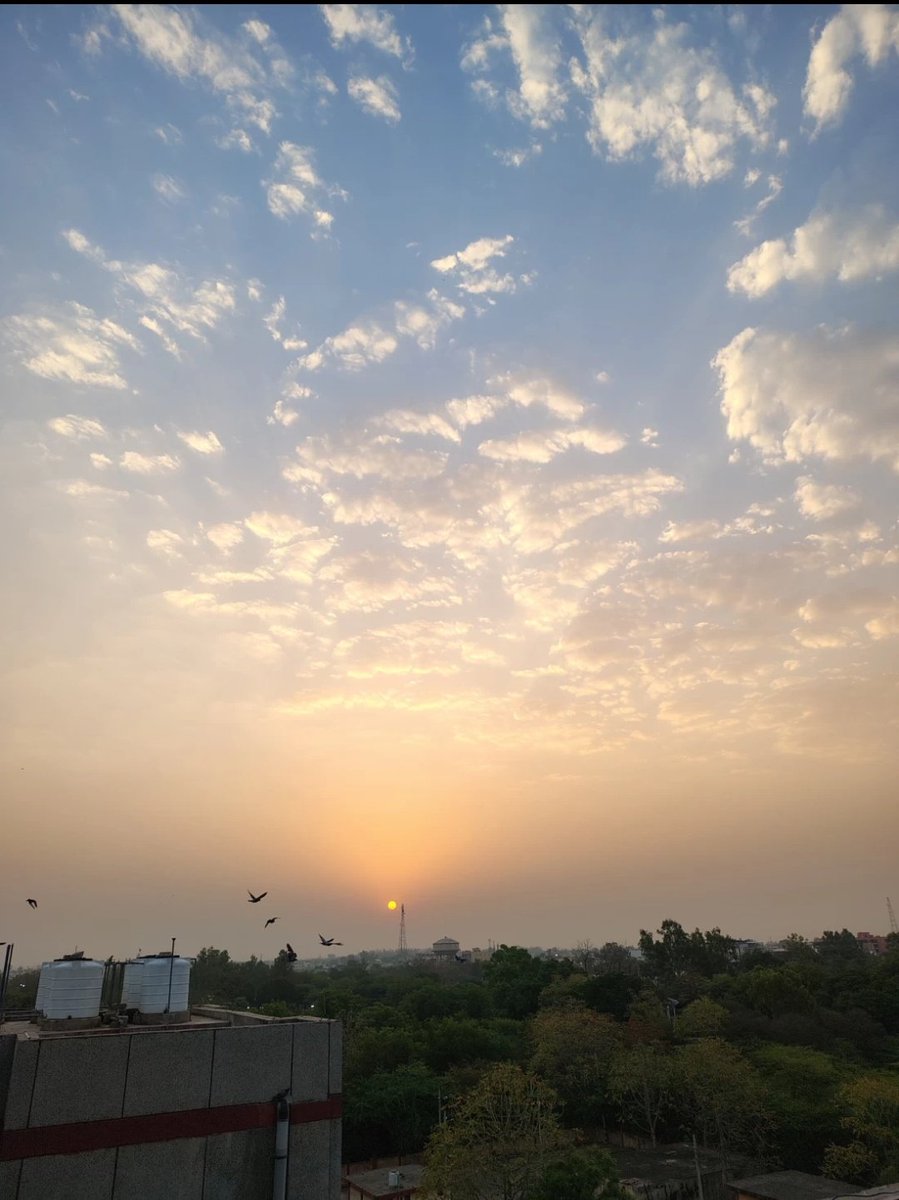 Beautiful sunrise🌄🌅 🌸🌼