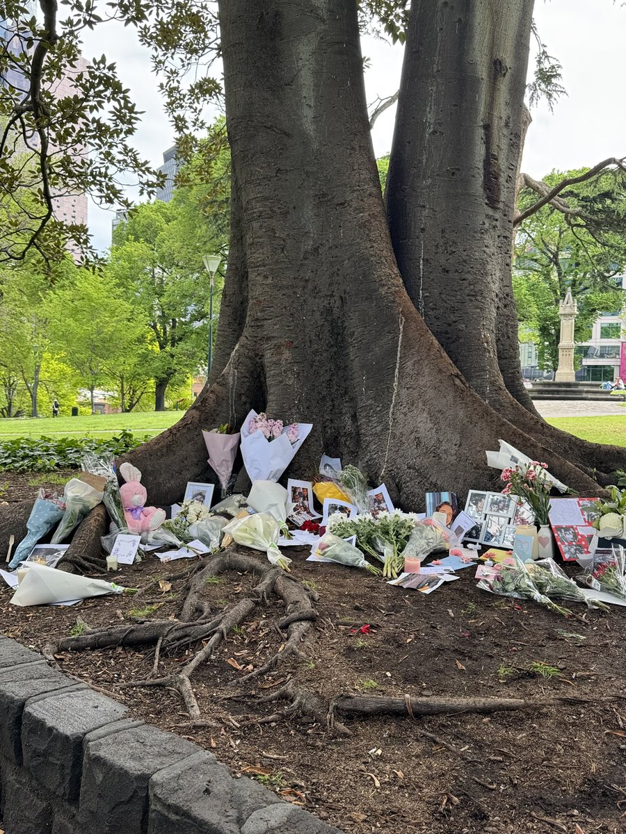 nofknjudgement's tweet photo. melbourne flagstaff gardens 🤍 https://t.co/G4DqHoDOmQ