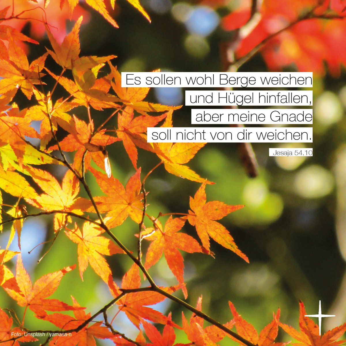 Wir wünschen euch allen einen gesegneten Sonntag 🙏