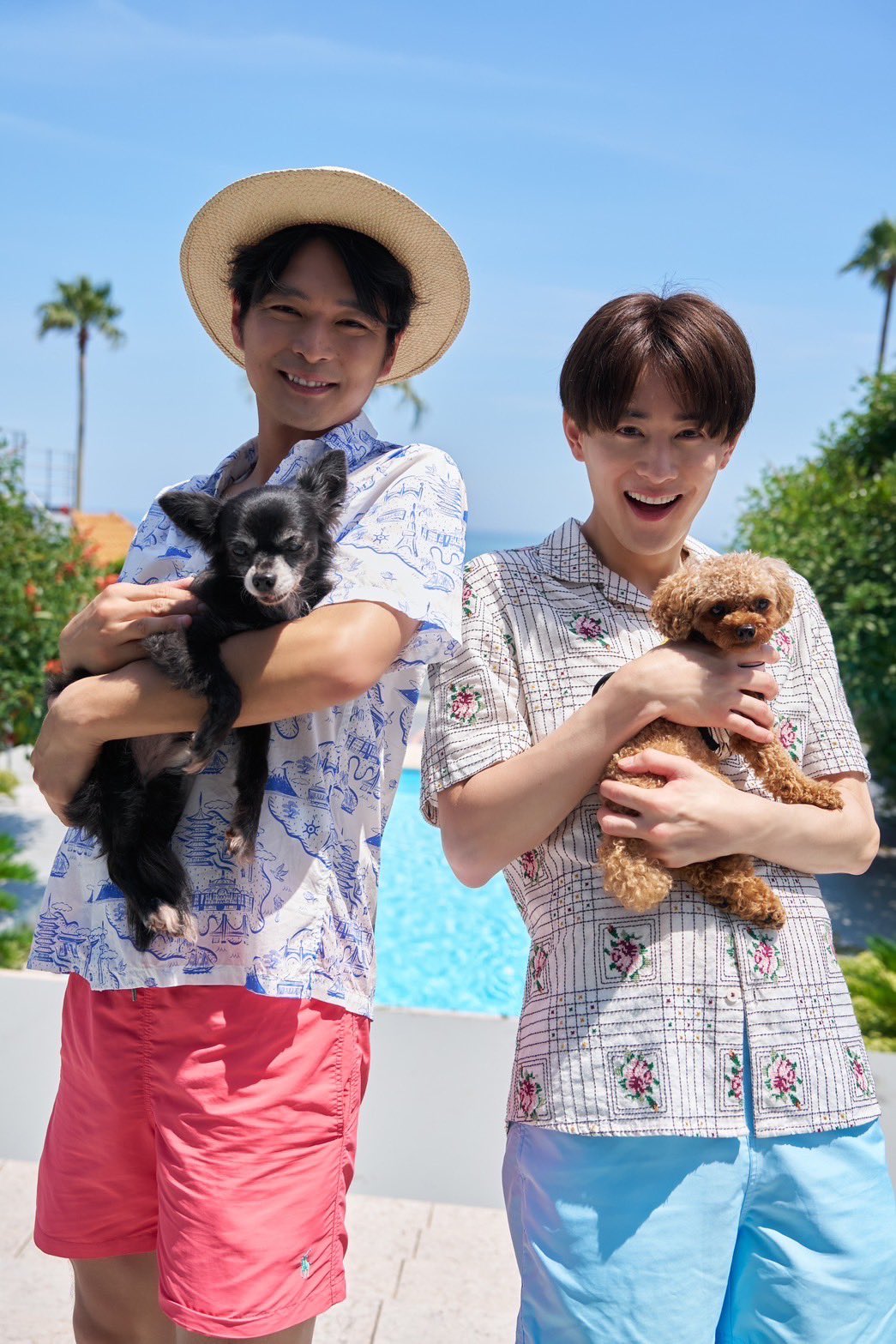 SHOW-WA 青山隼 サイン入りチェキ 西友 青山隼さんから目が離せない