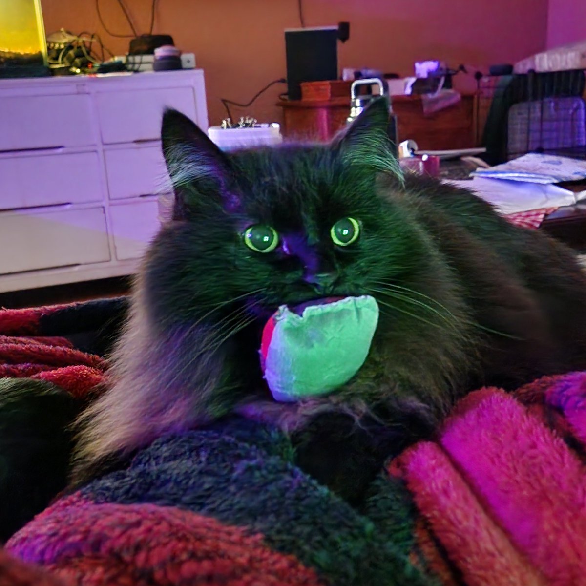 The Crafty Critter Cabin tweet media