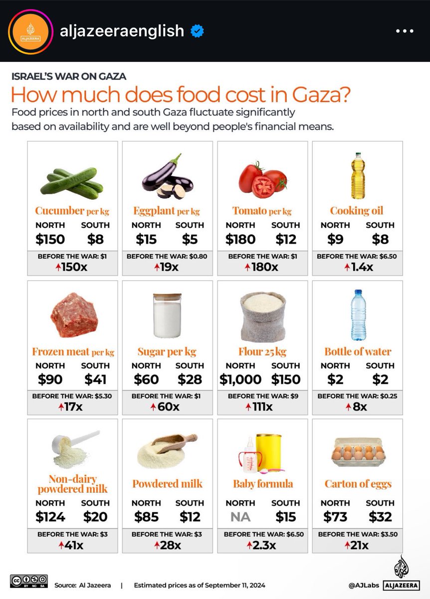 Ayman needs help affording urgently needed food for himself and his family

gofund.me/cea5baf1

Shares + support of any kind greatly appreciated! 

Proceeds from orders on my Etsy will also go towards his campaign.  Use code BEETLETIME for free worldwide shipping link in bio