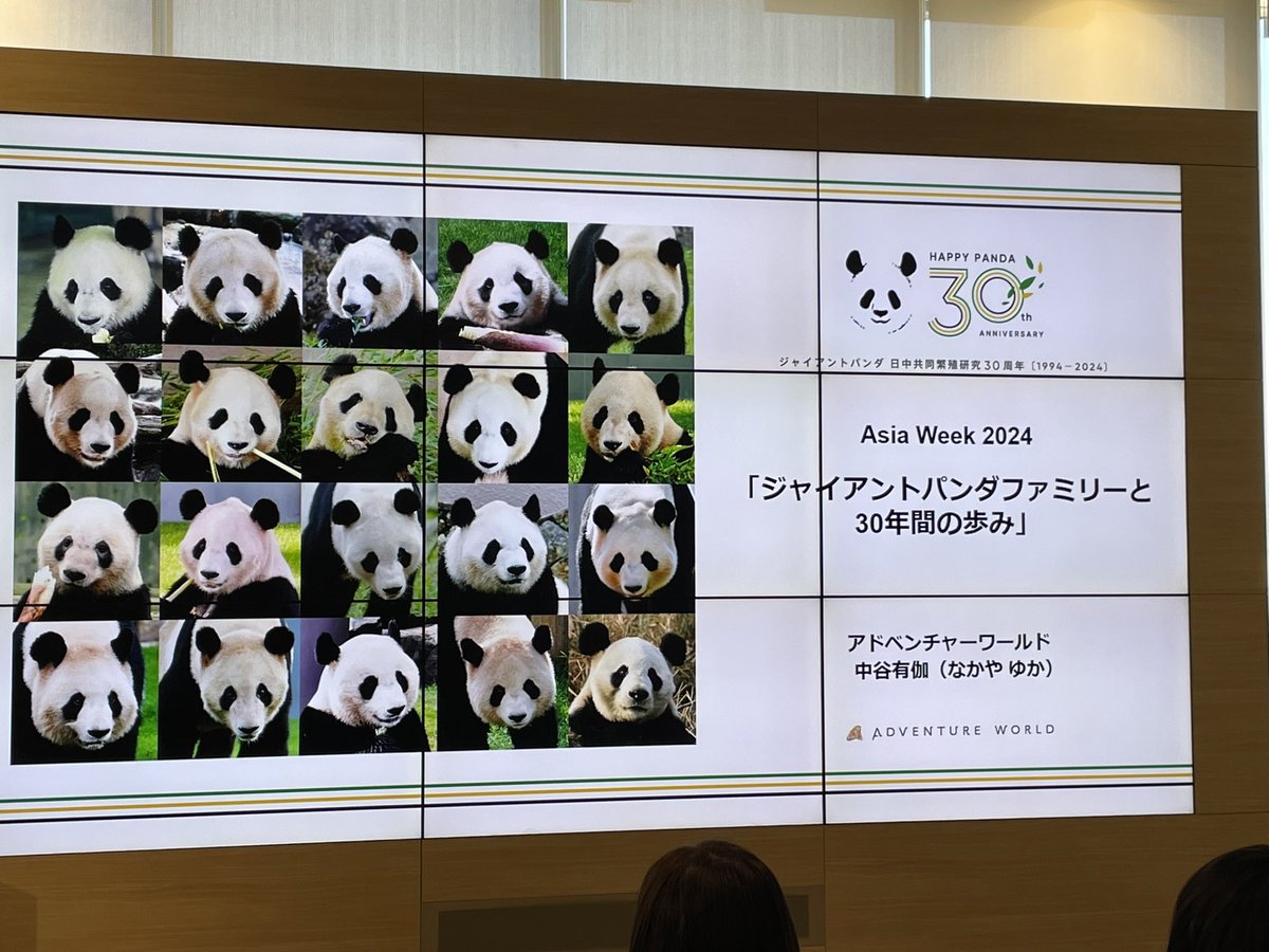 naturaleumi's tweet image. もうすぐ始まるよ🐼💕

#アドベンチャーワールド #ASIAweek