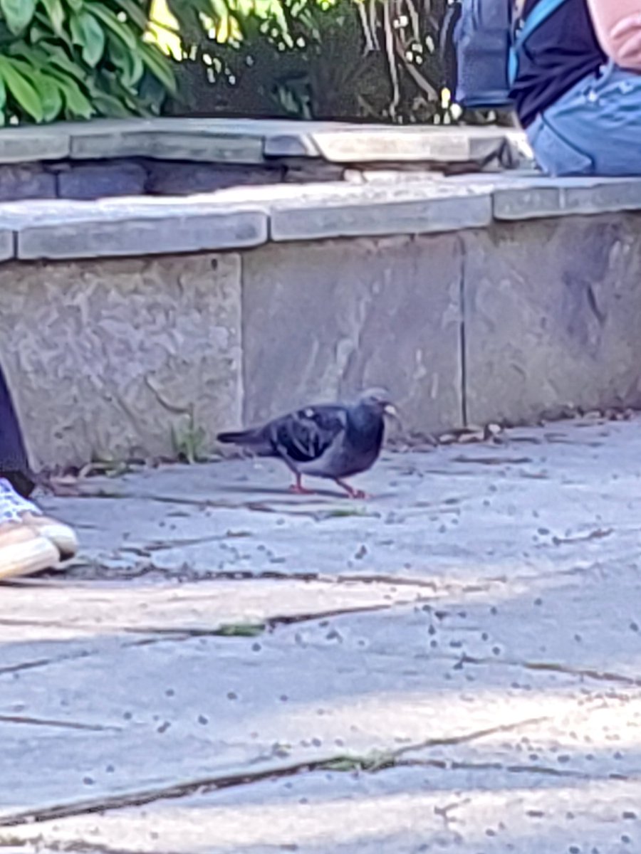 Kevin's come to pay his respect 🥹
