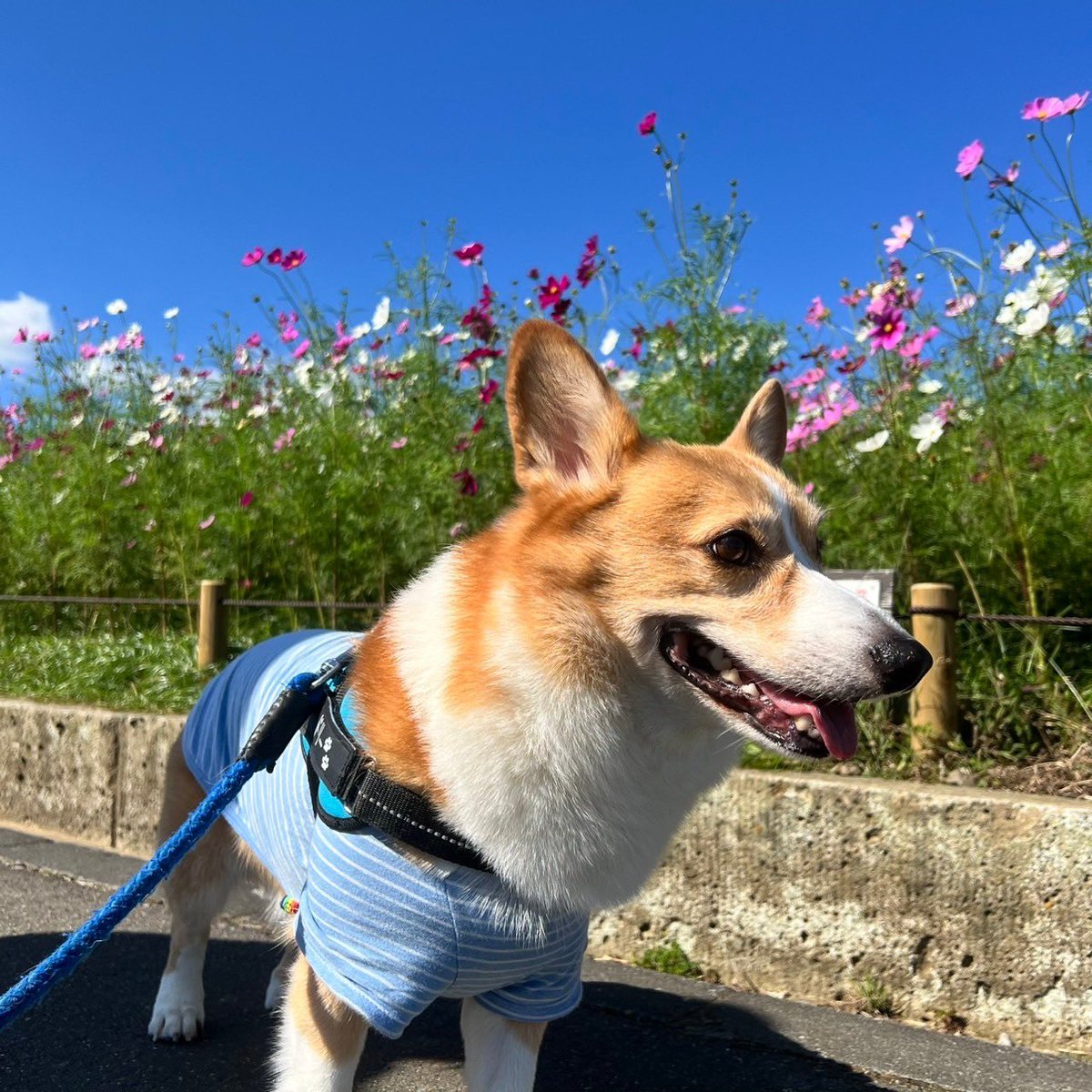 tomoomchi's tweet photo. 人、沢山いた^_^ https://t.co/YmRVCPWzvu