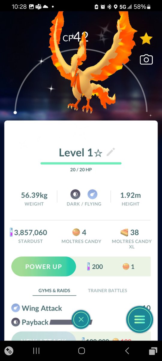 Zerilentix ✨️ Shiny Pika Collector tweet media