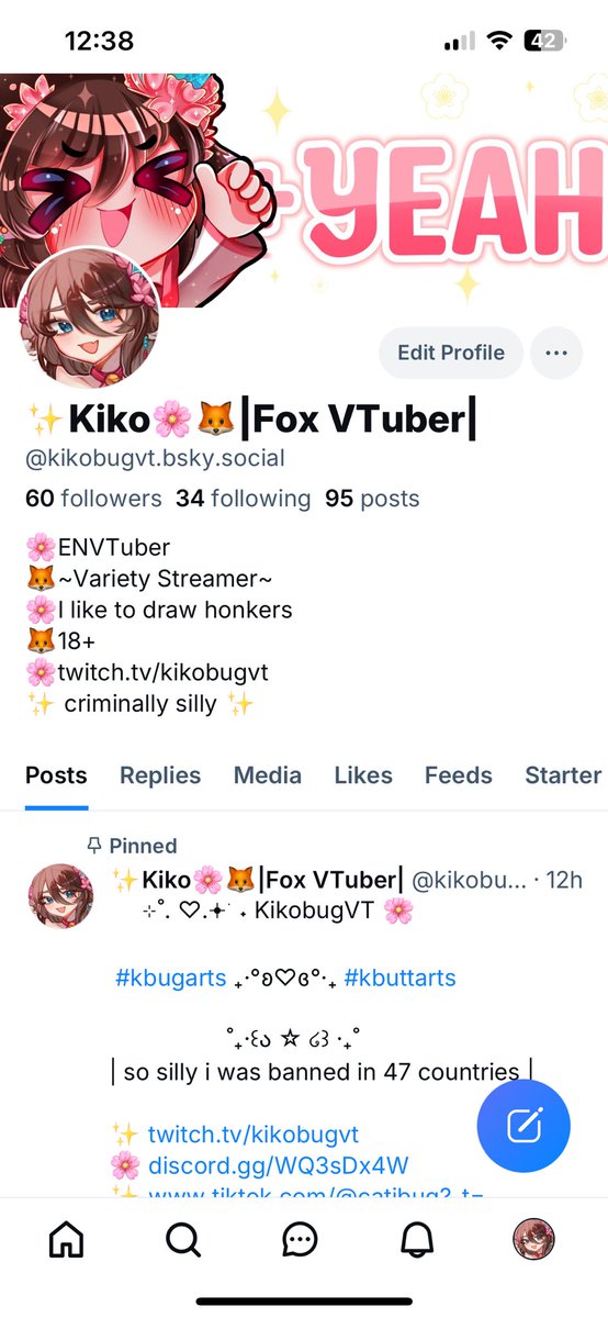 Kiko 🌟🌸//Fox Vtuber tweet media