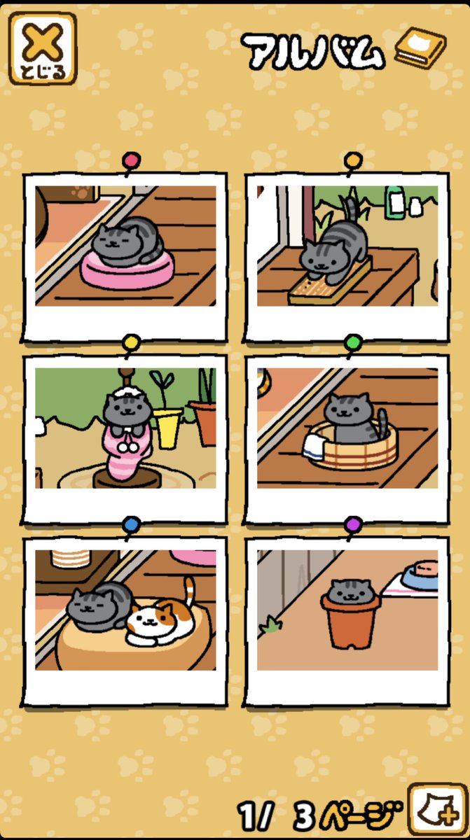 ねこあつめ何年振りかで開いたらアンキチがいて、そうかこっちのあん吉は元気なんだな…としんみりした。ねこあつめ2含めて再開しようかな。 