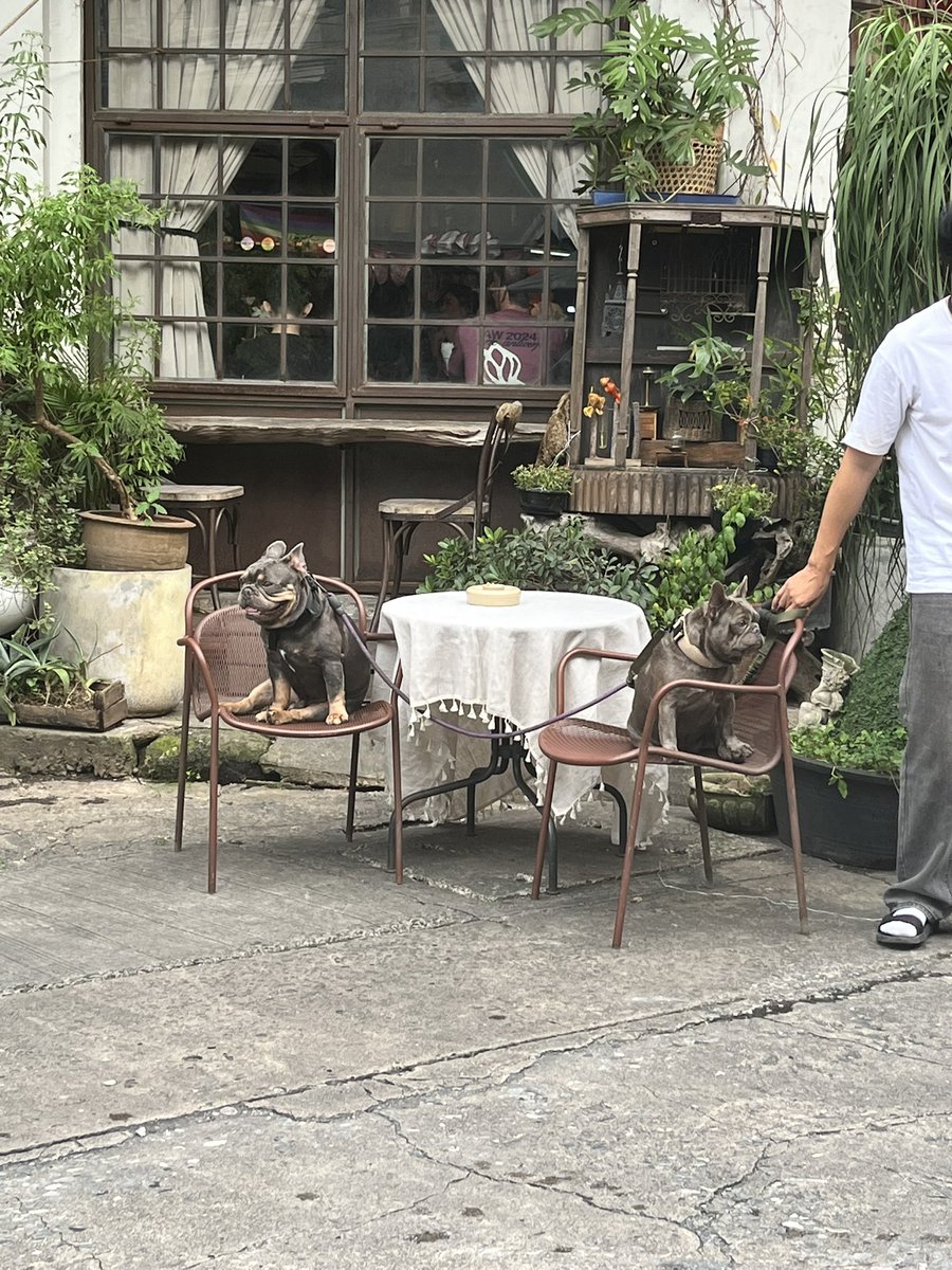 rezaezer's tweet photo. Such a slow living here in Bangkok ❤️ https://t.co/keQZL2wnvt