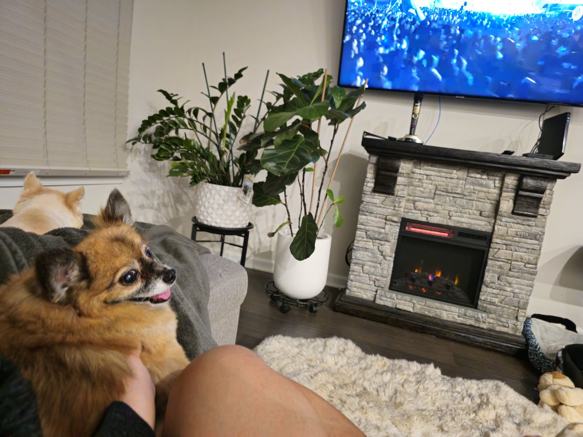 #ABGT600 is so fun! Our babies are chillin' and raving with us watching the stream!