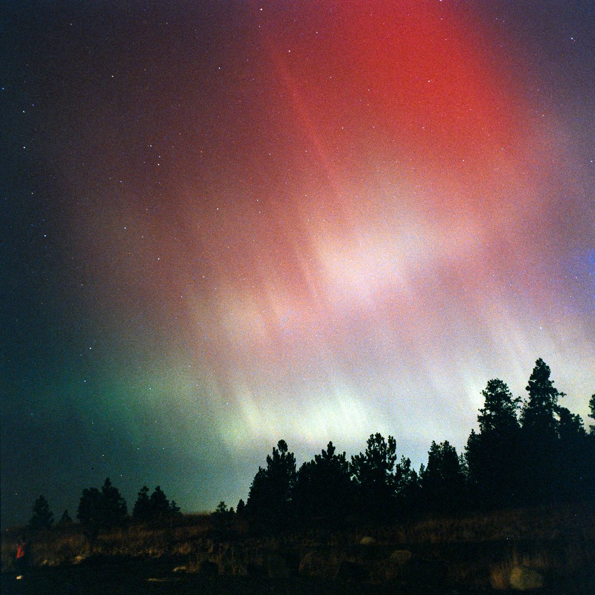 frigginhegg's tweet photo. If any of you want to see more photos I'm going to try posting on bluesky from now on I think. Same username.

Aurora on film. Bronica SQ-A and Portra 800 pushed to 1600. https://t.co/gTqokjzArq