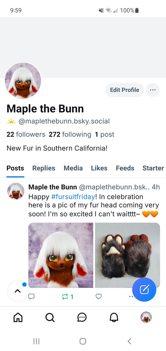 I am moving to 🟦⛅️ same handle as here! @maplethebunn