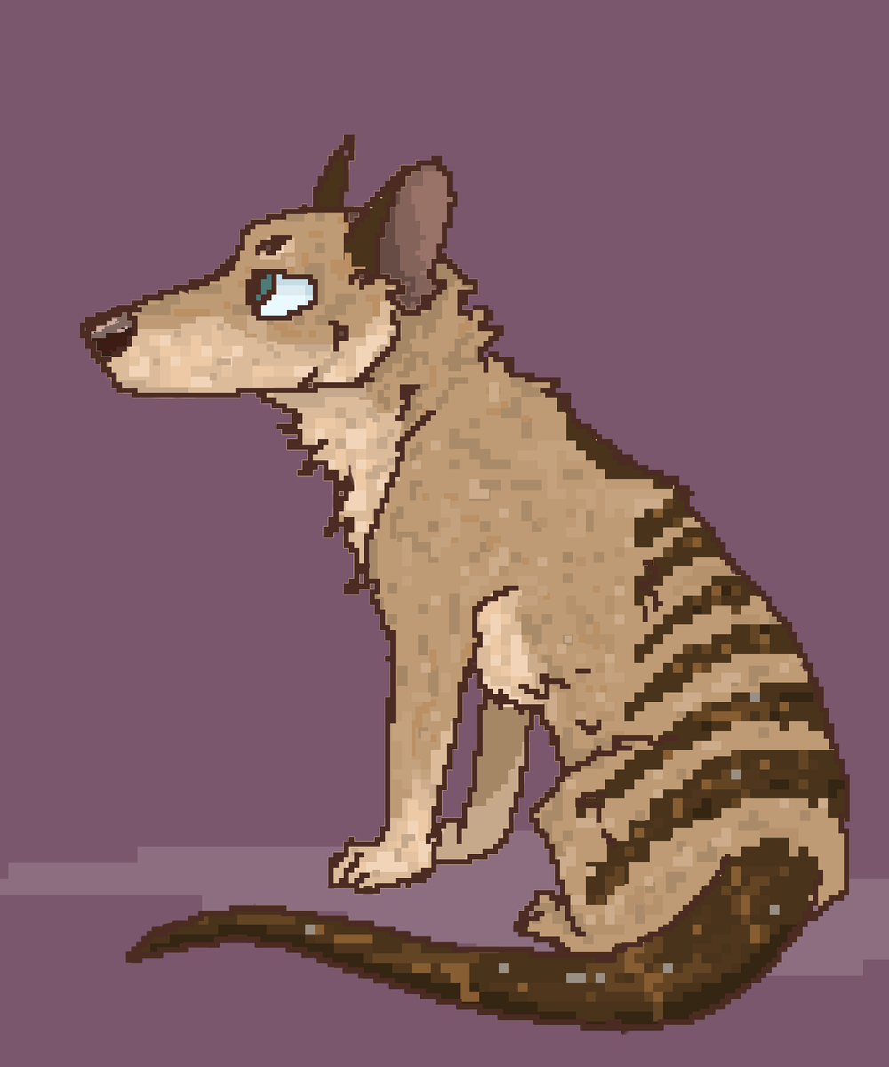 paw_us's tweet photo. pix thylacine 
#thylacine #tasmaniantiger #aussie #art #pixelart #furryart #commission https://t.co/uYwbnLvWQK