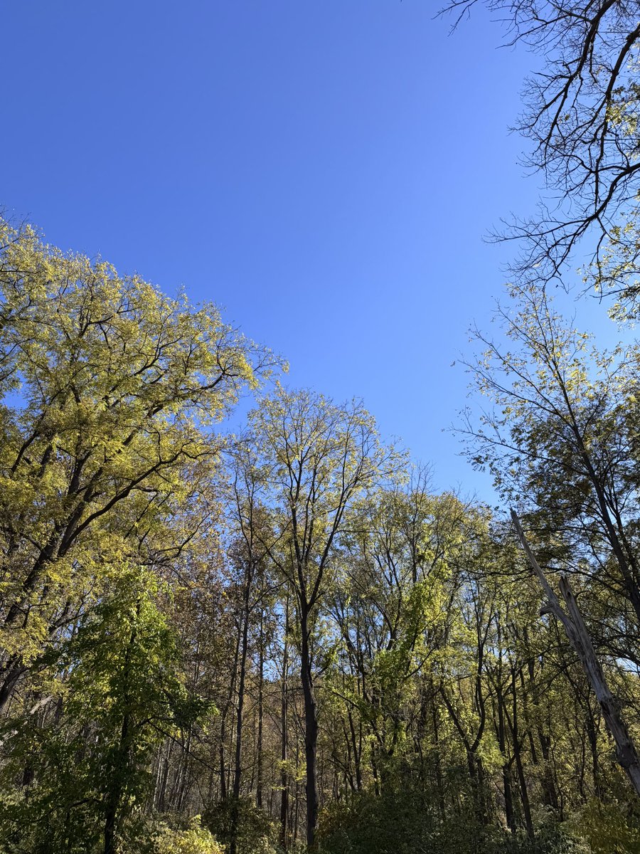 inmemoriamhjp's tweet image. spent the day in nature! (park clean-up &amp;amp; studying outside) 

🏞️🌿 #studytwt #archivetwt