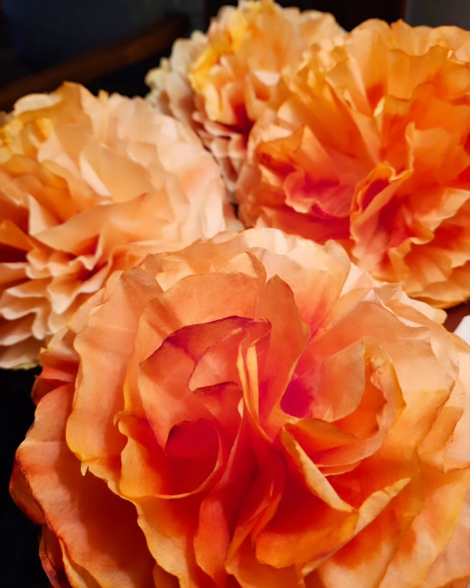 Hello everyone! 

    I wanted to share that I am currently selling paper flower marigolds, which are perfect for your Día de los Muertos altars. 
     Each flower is just $2. And 5 for 10.
🏵💀🏵💀🏵🏵💀🏵💀🏵🏵💀🏵💀

#art #artist #flowers